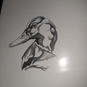Original Duck Illustration Art